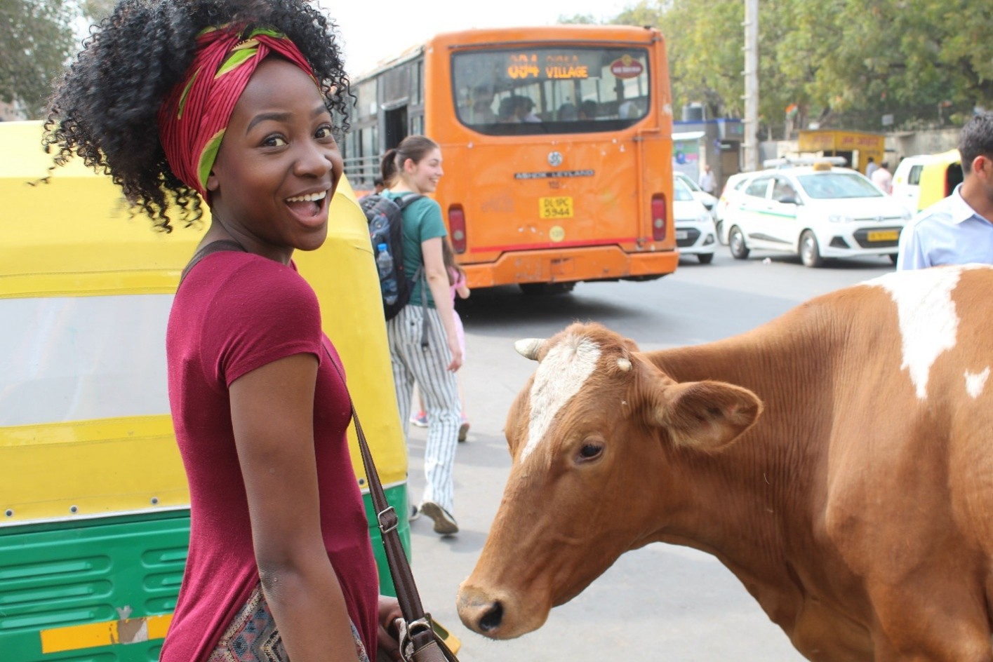 FIU student with a cow in the street in Delhi